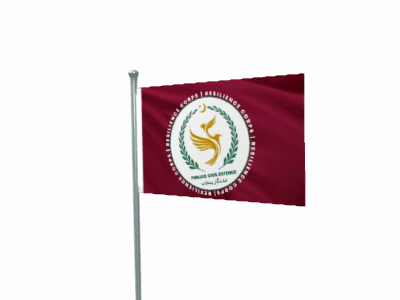 Pakistan Flag
